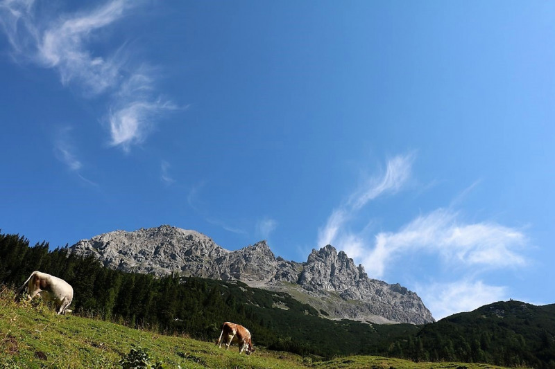 Almmesse auf der Marienbergalm – „Ein unvergleichbares Altarbild“