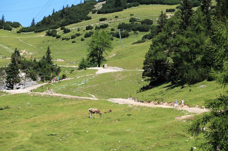 Almmesse auf der Marienbergalm – „Ein unvergleichbares Altarbild“
