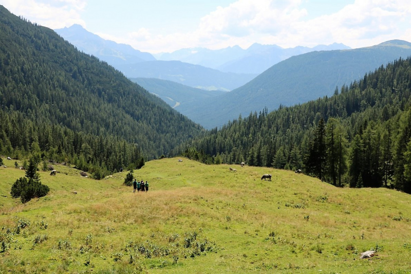 Almmesse auf der Marienbergalm – „Ein unvergleichbares Altarbild“