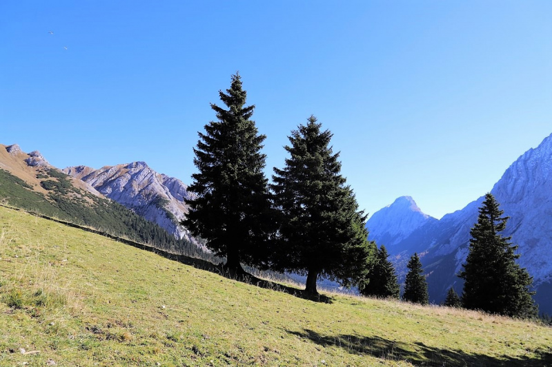 Almsommerfinale – „Danke für den schönen Sommer!“