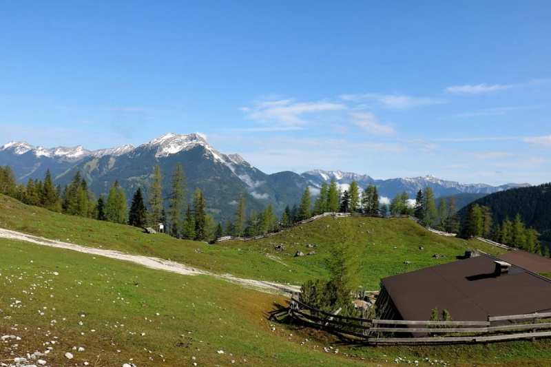 Bagger auf der Seebenalm – „Vorbildlich, so soll es sein“