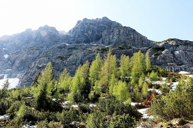 Bagger auf der Seebenalm – „Vorbildlich, so soll es sein“
