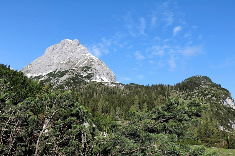 Bagger auf der Seebenalm – „Vorbildlich, so soll es sein“