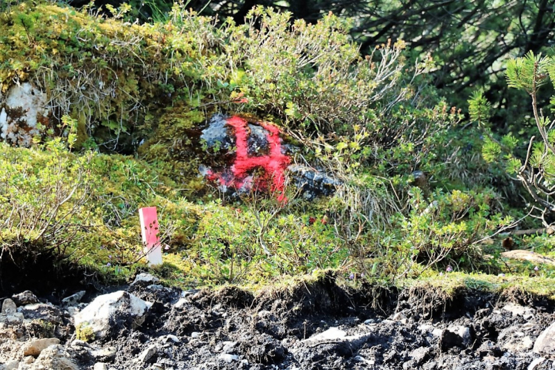 Bagger auf der Seebenalm – „Vorbildlich, so soll es sein“