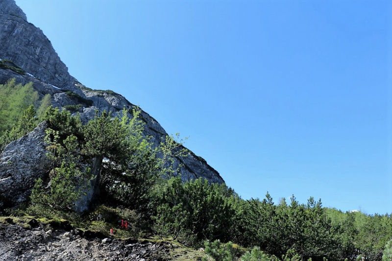 Bagger auf der Seebenalm – „Vorbildlich, so soll es sein“