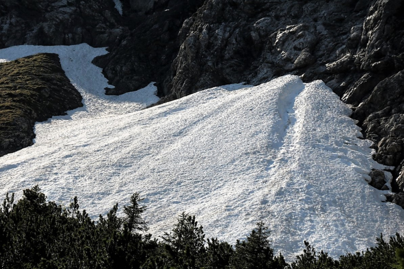 Bagger auf der Seebenalm – „Vorbildlich, so soll es sein“