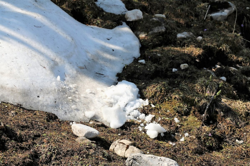 Bagger auf der Seebenalm – „Vorbildlich, so soll es sein“