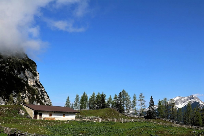Bagger auf der Seebenalm – „Vorbildlich, so soll es sein“