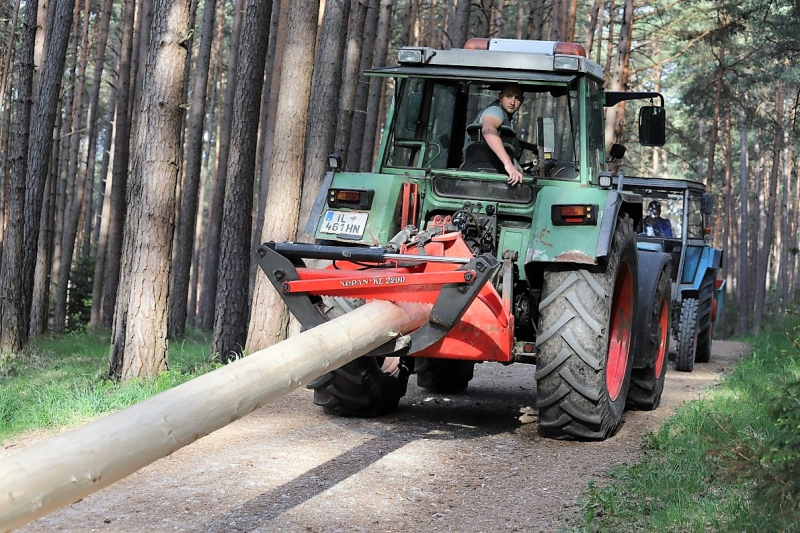 Barwies – 150jährige Fichte wird Maibaum