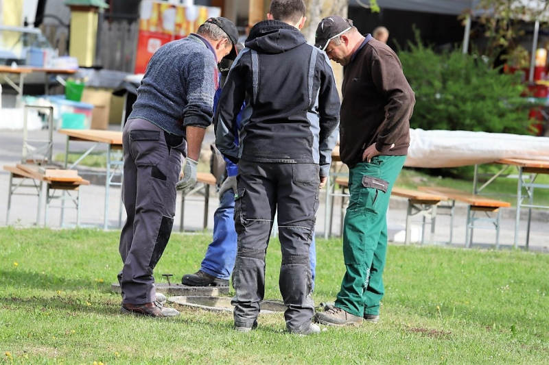 Barwies – 150jährige Fichte wird Maibaum