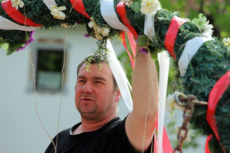 Barwies – 150jährige Fichte wird Maibaum