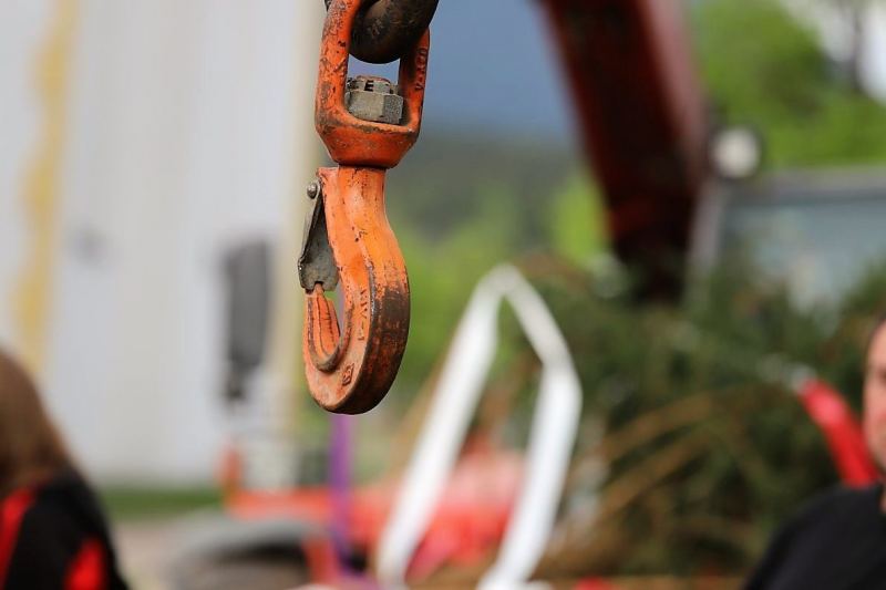 Barwies – 150jährige Fichte wird Maibaum