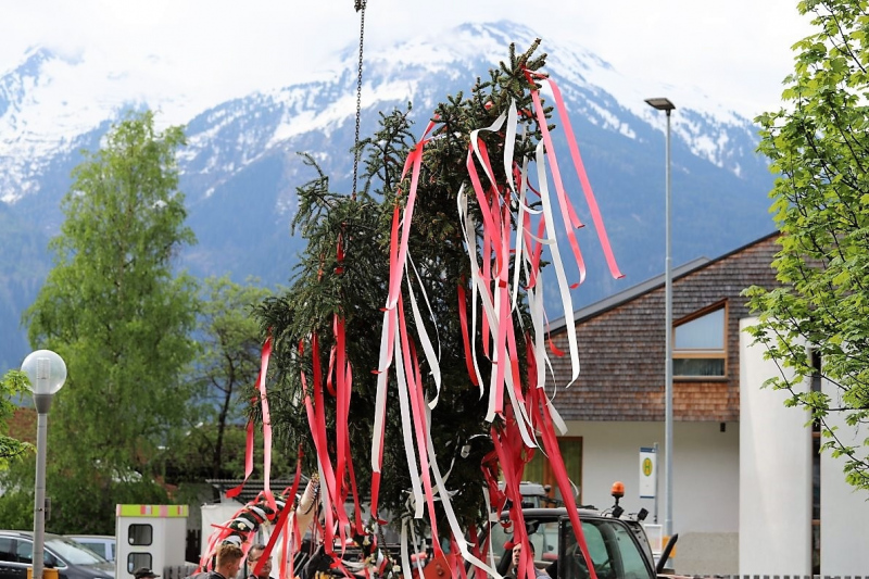 Barwies – 150jährige Fichte wird Maibaum