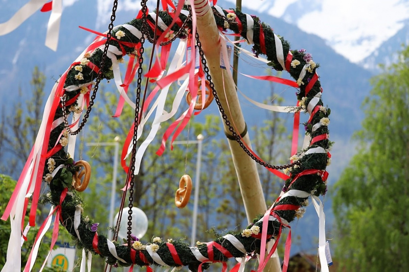Barwies – 150jährige Fichte wird Maibaum