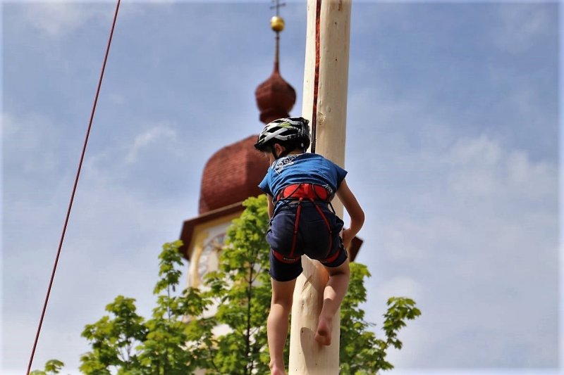 Barwies – 150jährige Fichte wird Maibaum