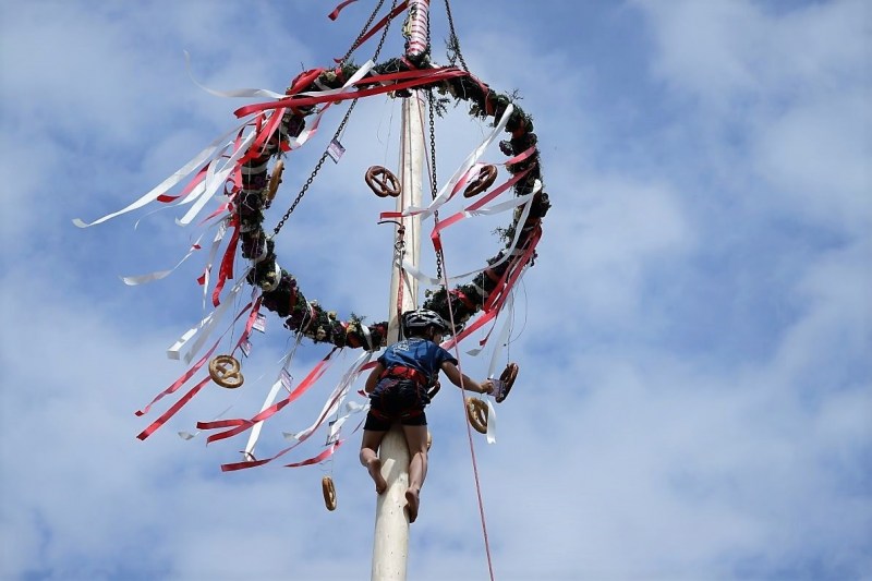 Barwies – 150jährige Fichte wird Maibaum