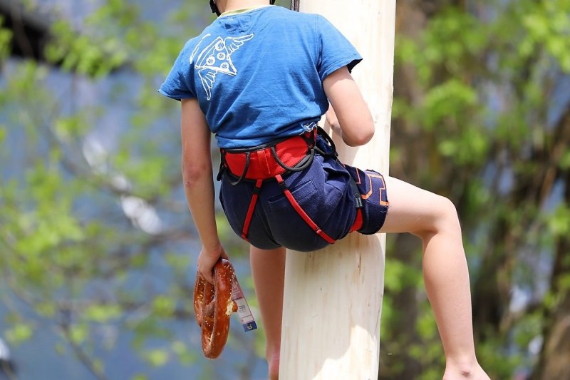 Barwies – 150jährige Fichte wird Maibaum