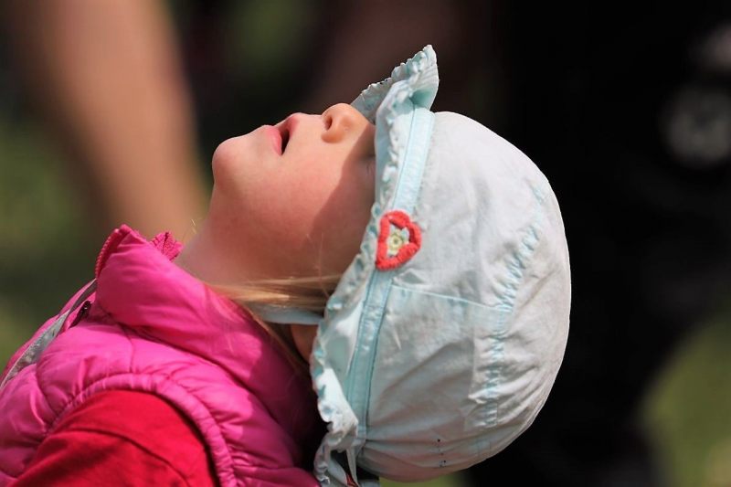 Barwies – 150jährige Fichte wird Maibaum