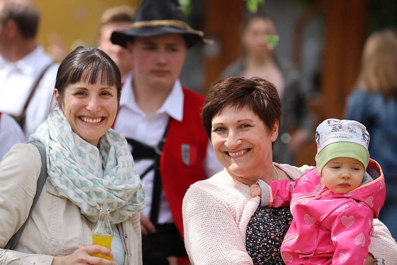 Barwies – 150jährige Fichte wird Maibaum