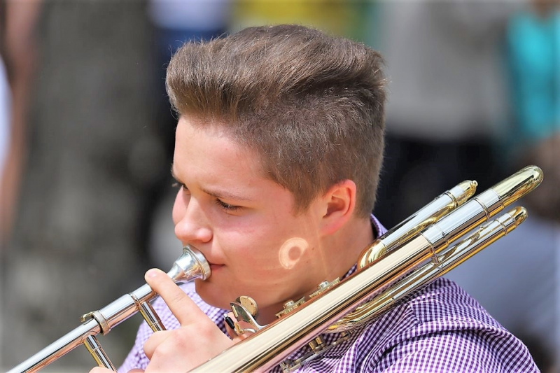 Barwies – 150jährige Fichte wird Maibaum