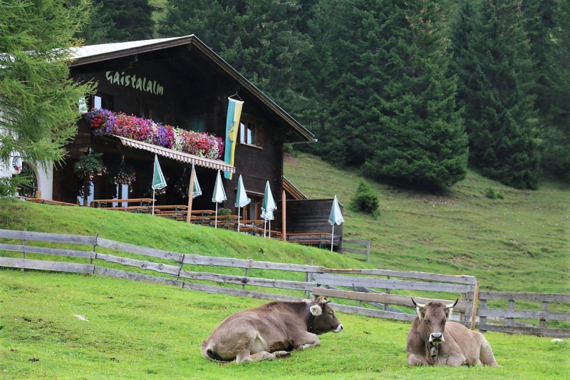 Baubeginn Hochfeldernalm – die alte Almhütte in Trauer