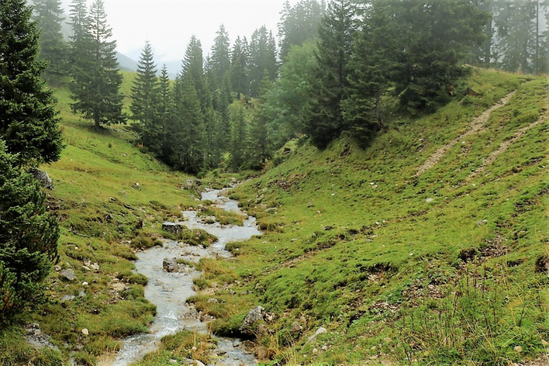 Baubeginn Hochfeldernalm – die alte Almhütte in Trauer