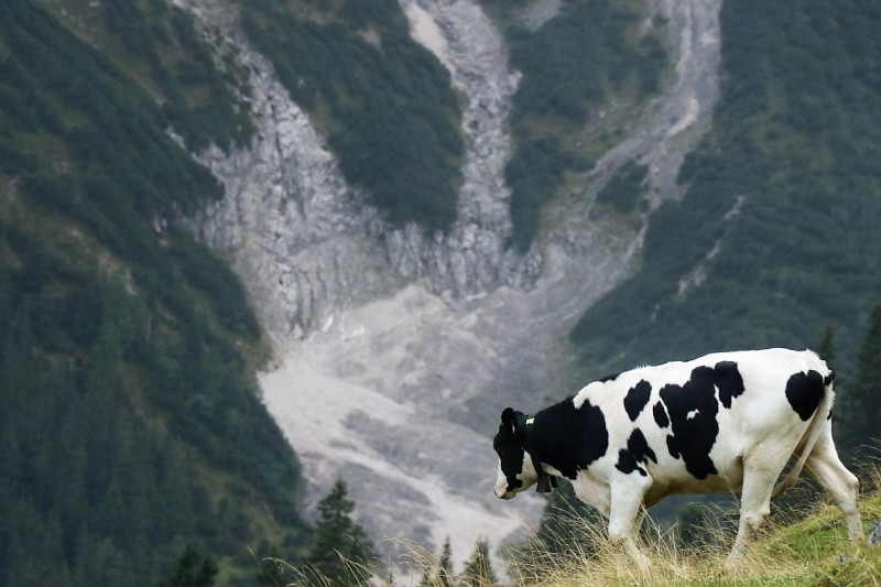 Baubeginn Hochfeldernalm – die alte Almhütte in Trauer