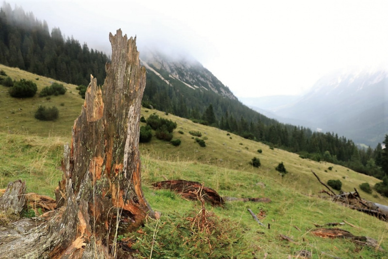 Baubeginn Hochfeldernalm – die alte Almhütte in Trauer