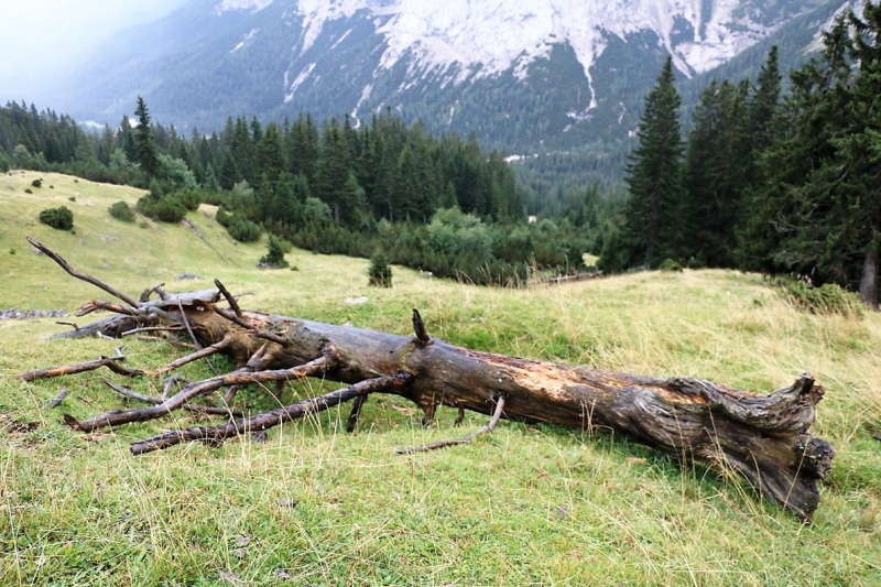 Baubeginn Hochfeldernalm – die alte Almhütte in Trauer