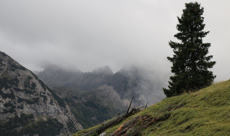 Baubeginn Hochfeldernalm – die alte Almhütte in Trauer