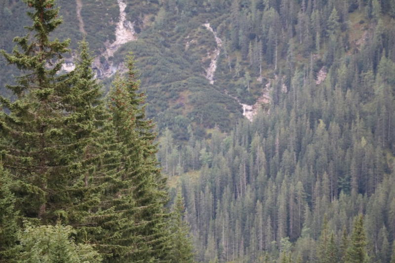 Baubeginn Hochfeldernalm – die alte Almhütte in Trauer