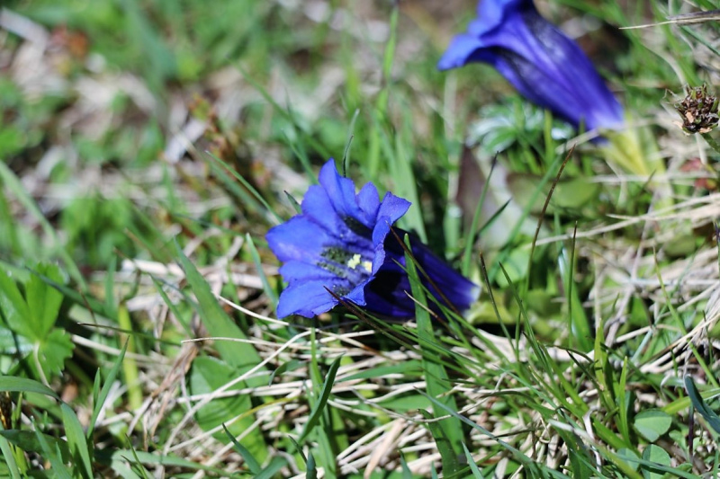 Baustelle Feldernalpe – „Fortschritte deutlich erkennbar“