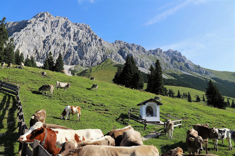 Bergmesse auf der Hochfeldernalm – Festakt Mieminger Sänger