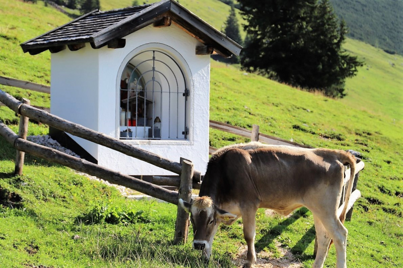 Bergmesse auf der Hochfeldernalm – Festakt Mieminger Sänger