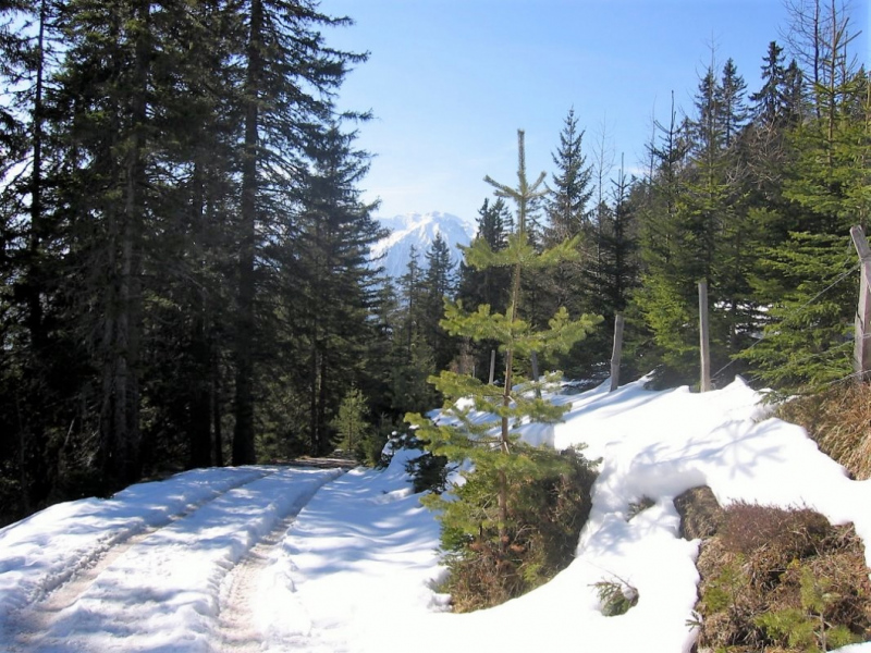 Simmeringalm – mit Blick auf die Mieminger Berge