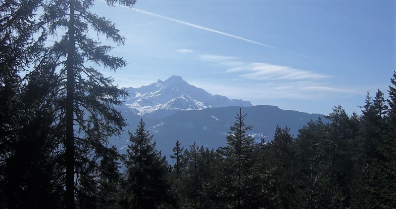 Simmeringalm – mit Blick auf die Mieminger Berge