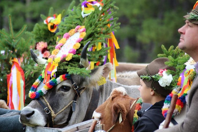 Drei-Almen-Abtrieb in Mieming – Abschied des Marienberg-Hirten