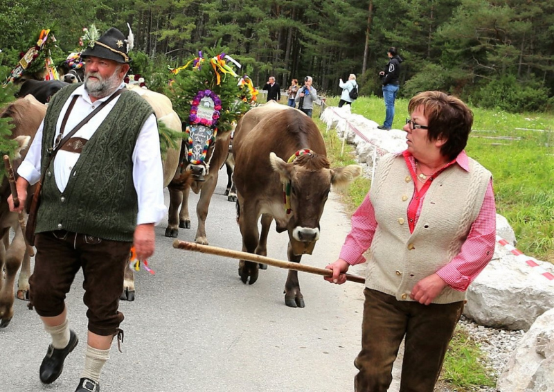 Drei-Almen-Abtrieb in Mieming – Abschied des Marienberg-Hirten