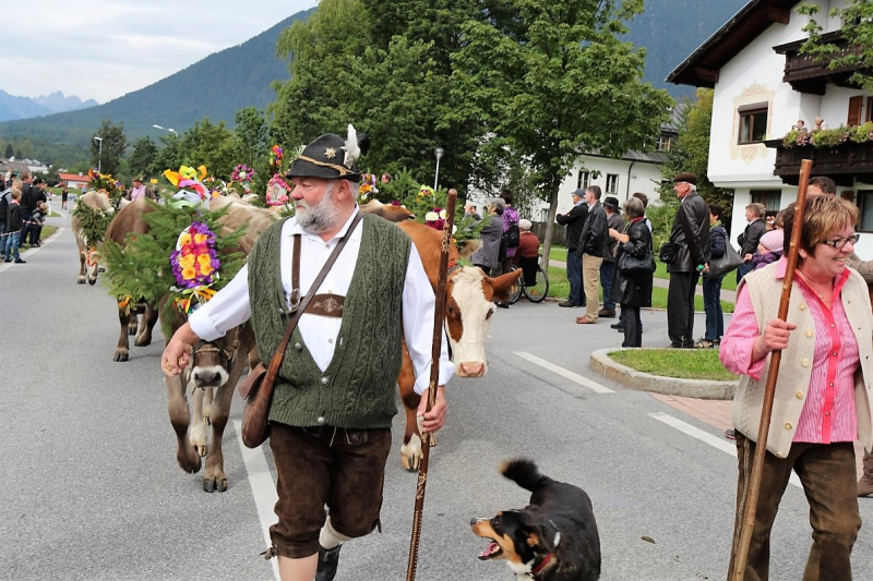 Drei-Almen-Abtrieb in Mieming – Abschied des Marienberg-Hirten