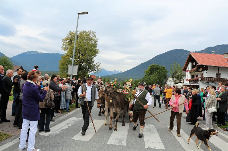 Drei-Almen-Abtrieb in Mieming – Abschied des Marienberg-Hirten