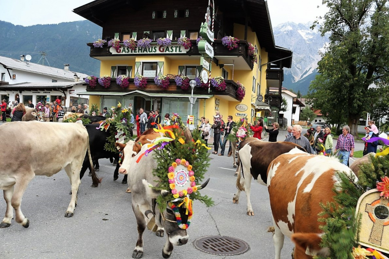Drei-Almen-Abtrieb in Mieming – Abschied des Marienberg-Hirten