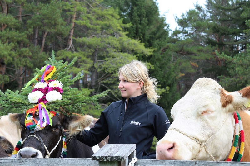 Drei-Almen-Abtrieb in Mieming – Abschied des Marienberg-Hirten