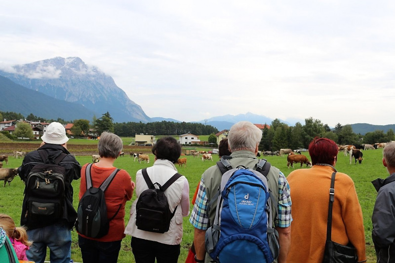 Drei-Almen-Abtrieb in Mieming – Abschied des Marienberg-Hirten