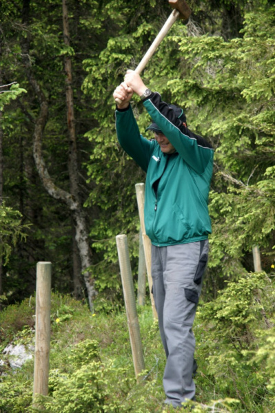 Feldernalmbauern zäunen vier Kilometer Weidezäune