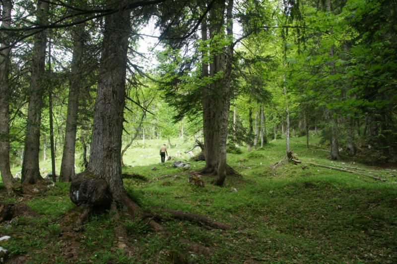 Feldernalmbauern zäunen vier Kilometer Weidezäune