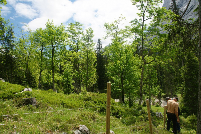 Feldernalmbauern zäunen vier Kilometer Weidezäune