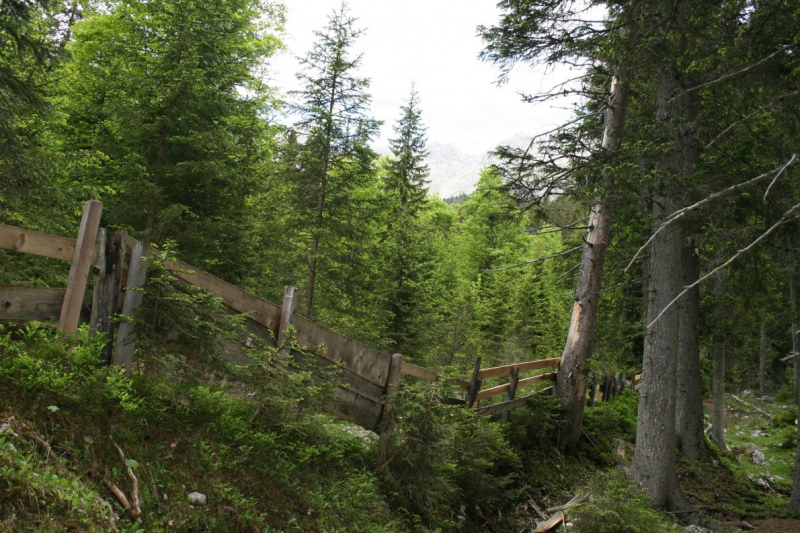 Feldernalmbauern zäunen vier Kilometer Weidezäune