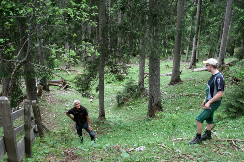 Feldernalmbauern zäunen vier Kilometer Weidezäune