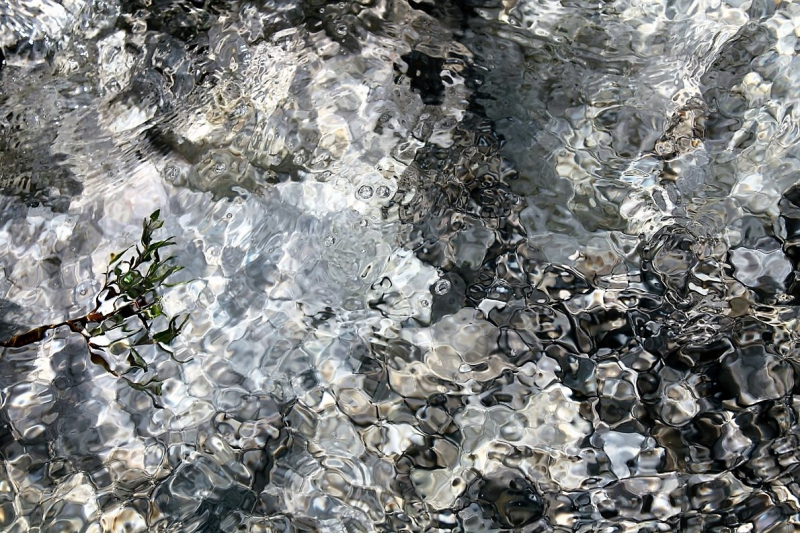 Flüssiges Gold – Spurensuche im Quellgebiet vom Stöttlbach