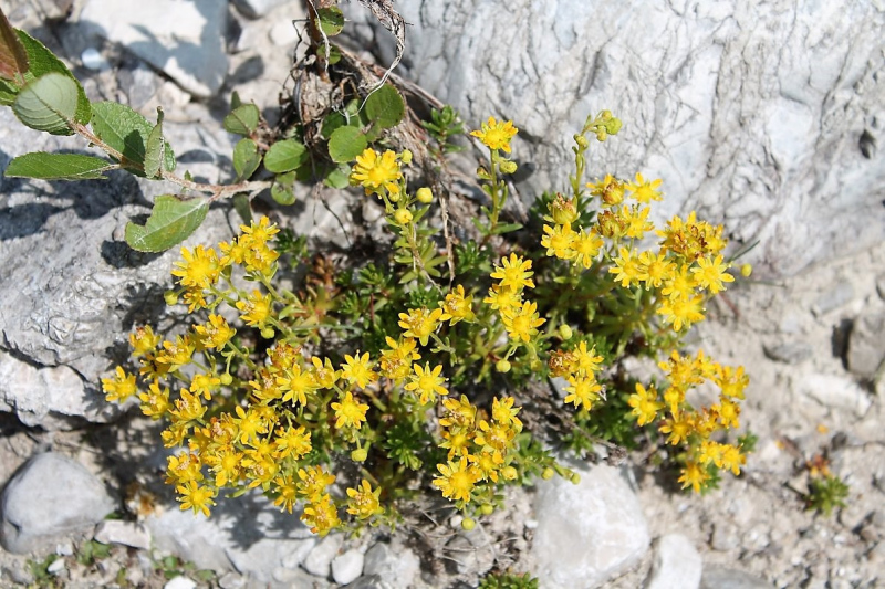 Flüssiges Gold – Spurensuche im Quellgebiet vom Stöttlbach
